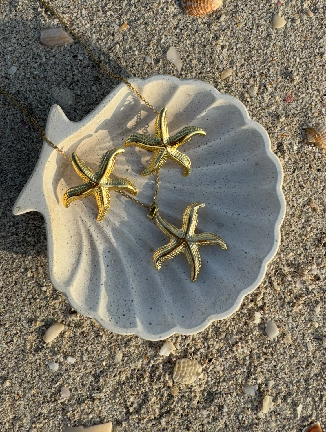 Aretes  Estrella de Mar