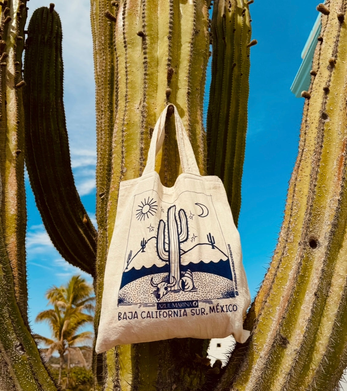 Tote Bag Baja 🌵