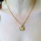 Estrella de mar abierta