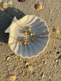 Estrella de mar abierta